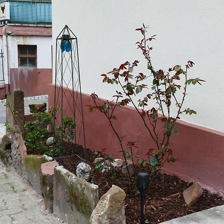 Le Gite Des Sources: Nature, Randonnees, Detente. Oberbronn Dış mekan fotoğraf