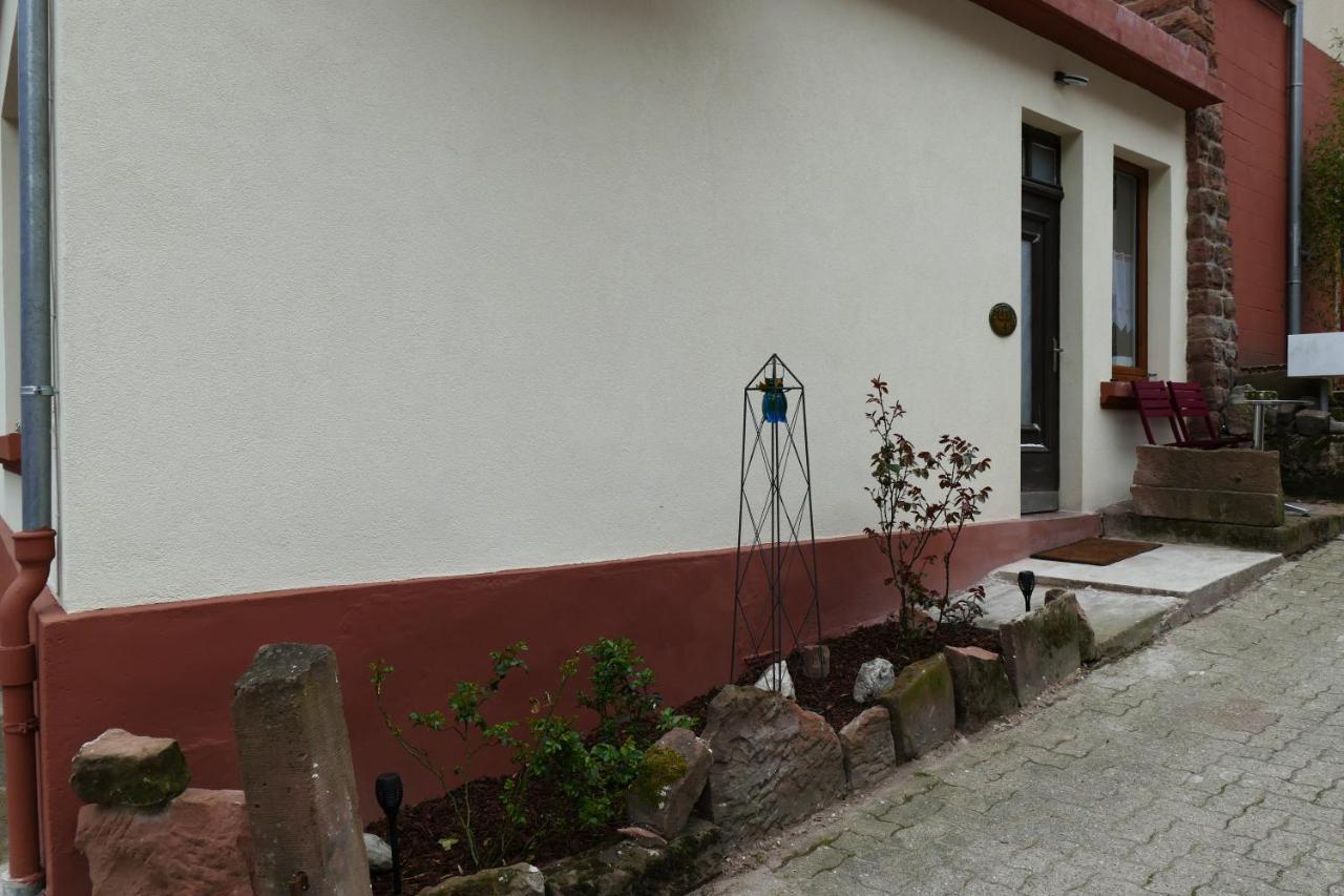 Le Gite Des Sources: Nature, Randonnees, Detente. Oberbronn Dış mekan fotoğraf
