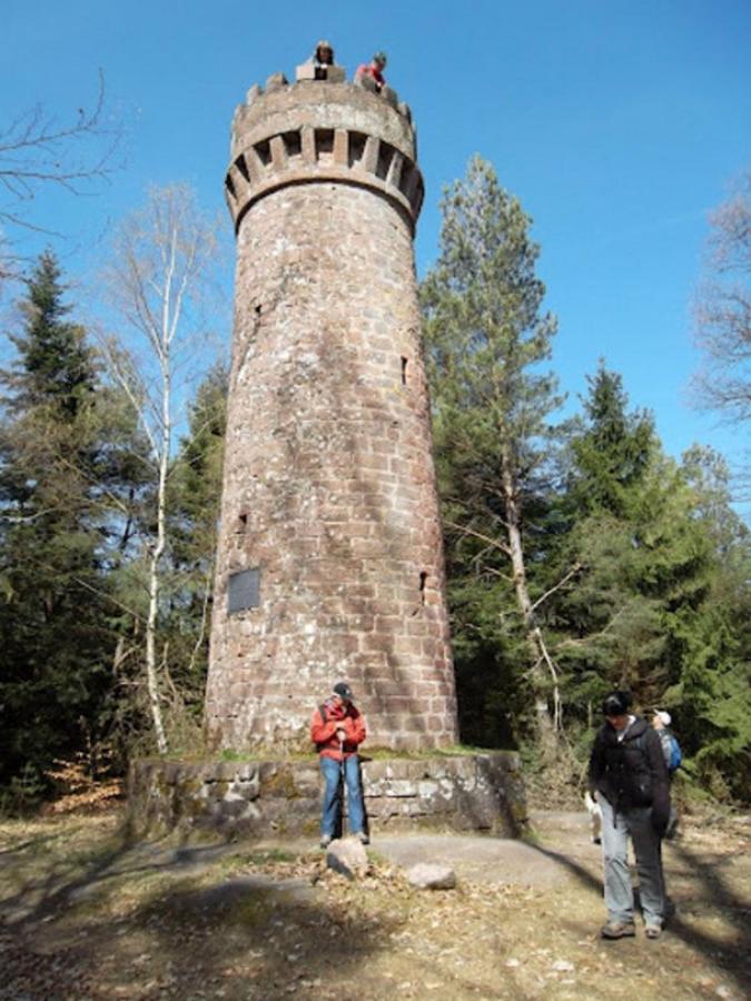 Le Gite Des Sources: Nature, Randonnees, Detente. Oberbronn Dış mekan fotoğraf